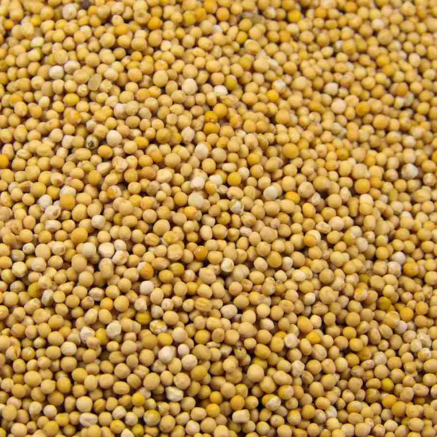 Senfkörner gelb 1000 g