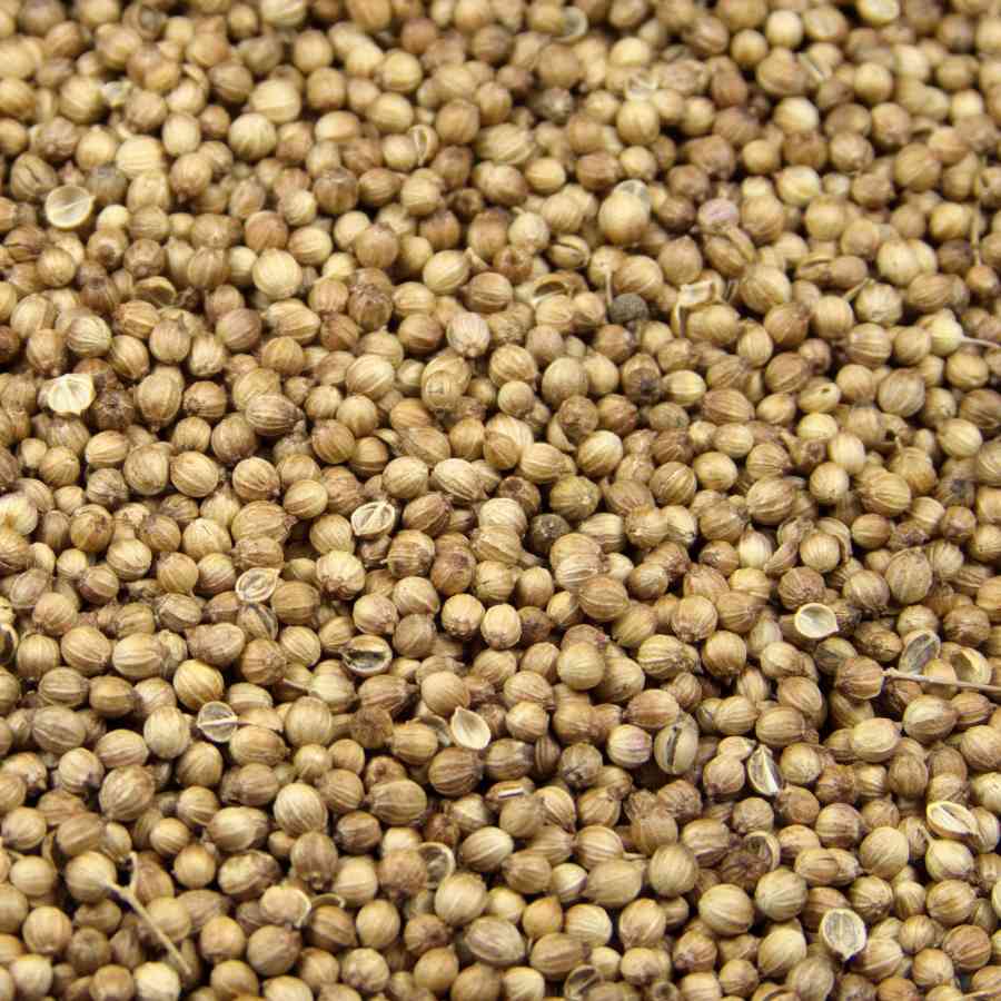 Koriander ganz 1000 g