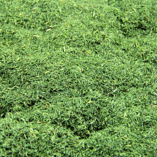 Dillspitzen 2-3mm 1000gr.