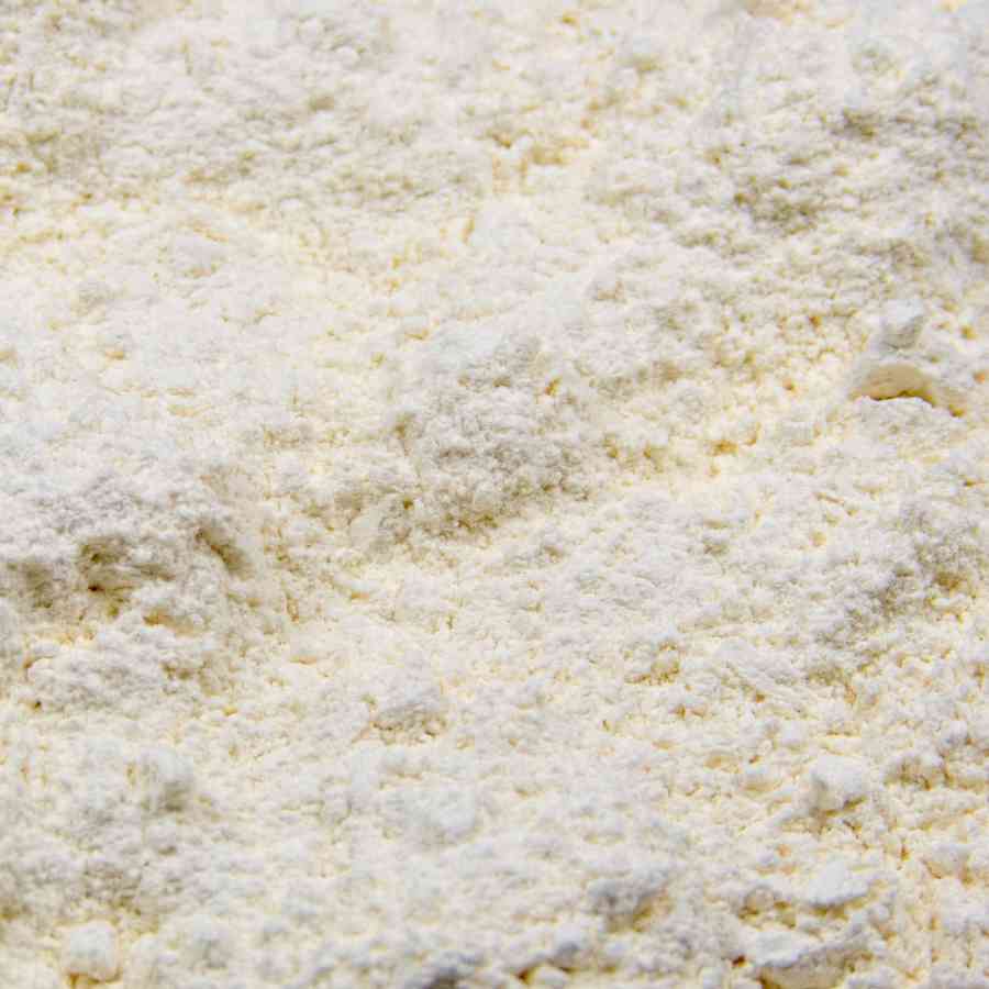 Knoblauch Pulver 1000gr.