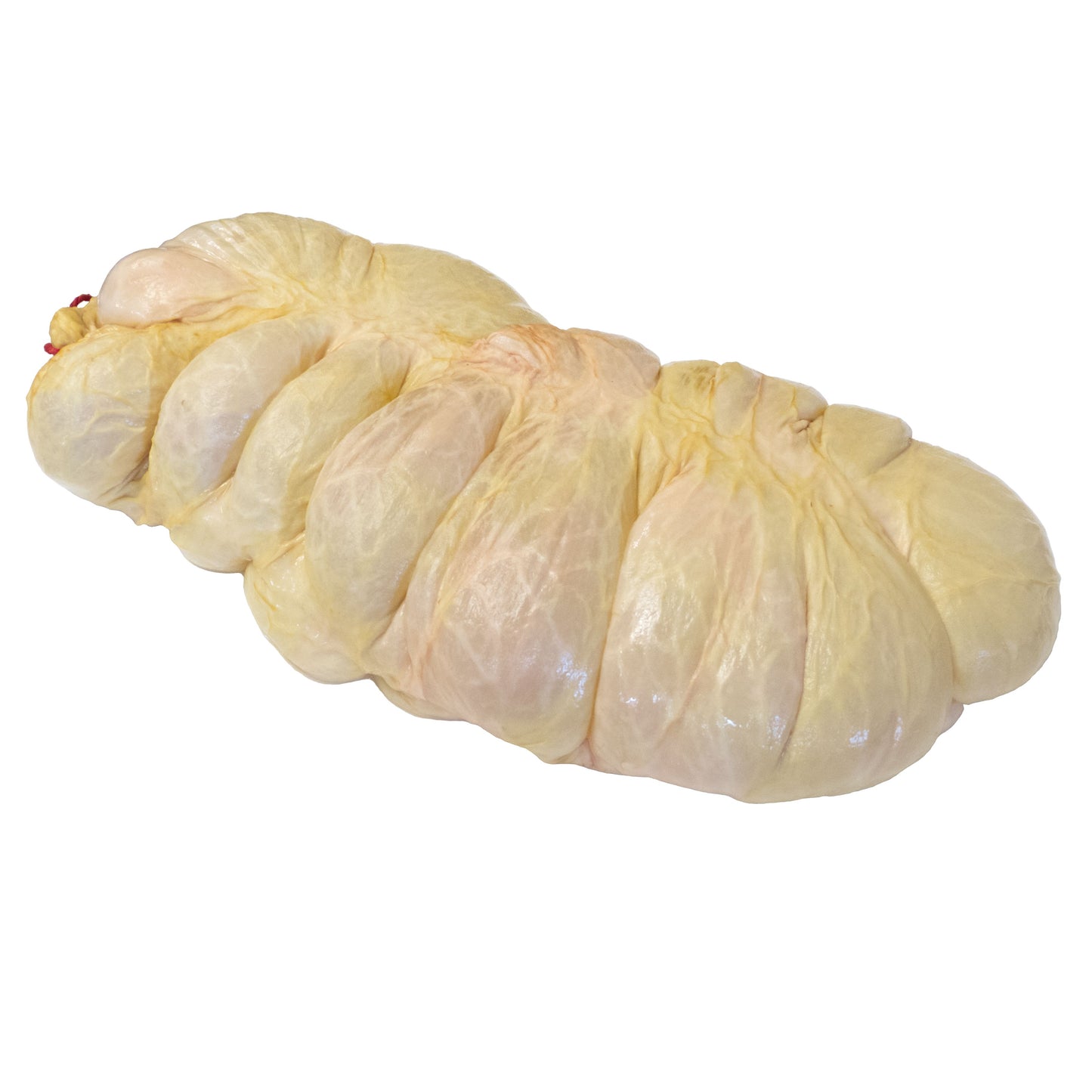 Schweinebutte Schweinekappe Bd/10 Stück